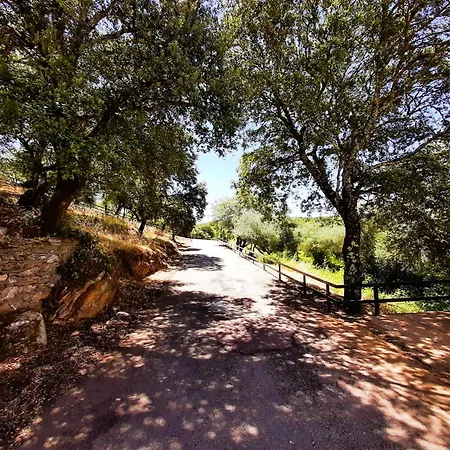 Gurumelo Aracena